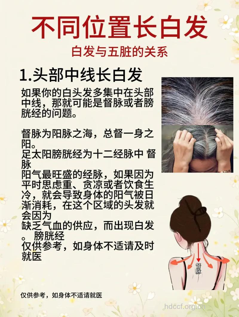 后脑勺白发肾虚 白发看脏腑健康