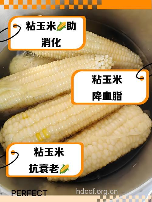 多吃鲜玉米可以抗癌又防老