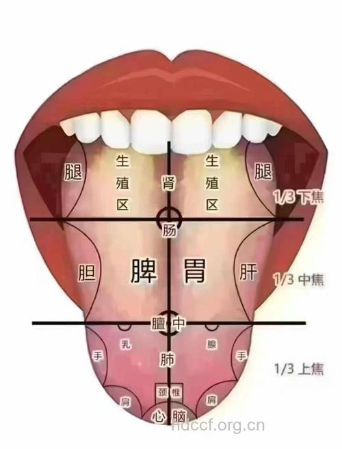 舌尖红是怎么回事 舌尖红有心火