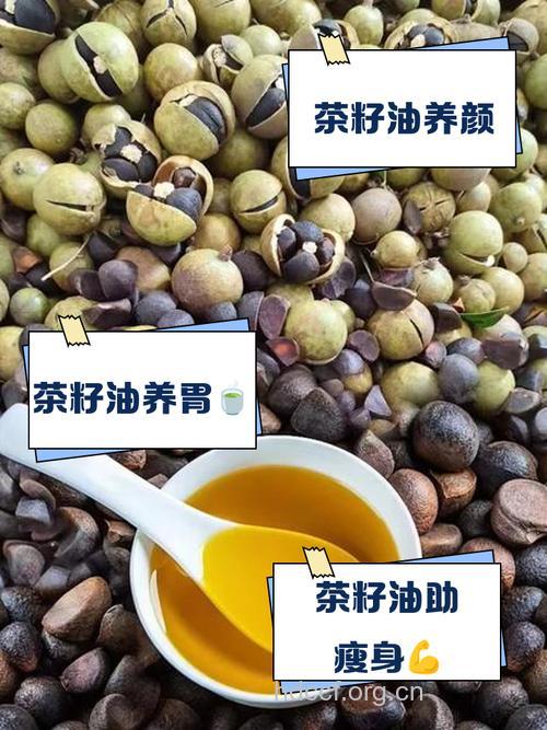 油茶子的功效与作用
