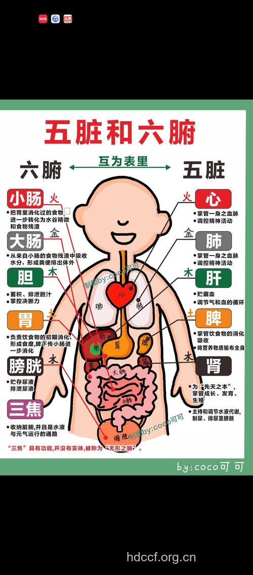 测试:看你的身体到底有多脏