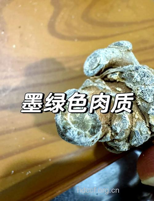 中药三七真假有什么区别