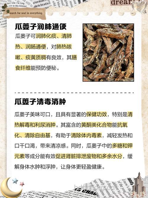 芦子的功效与作用