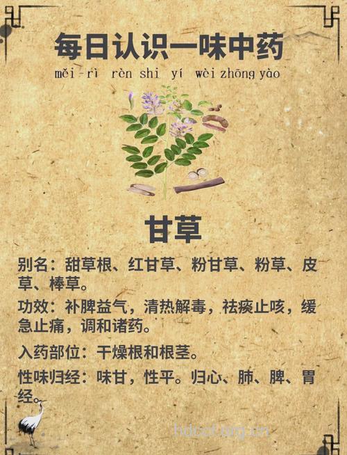 甘草有哪些功效作用?