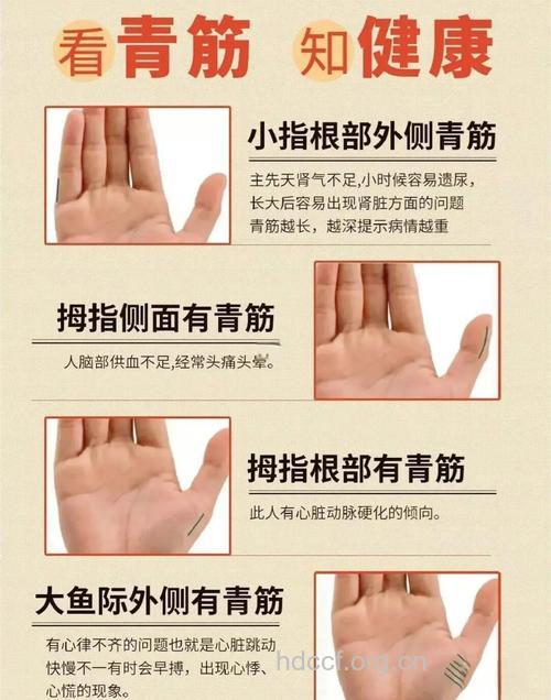 怎么从“青筋”了解身体状况