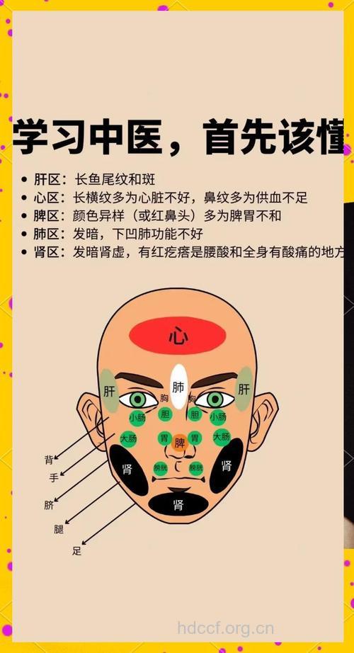 怎么解读脸上的健康密码