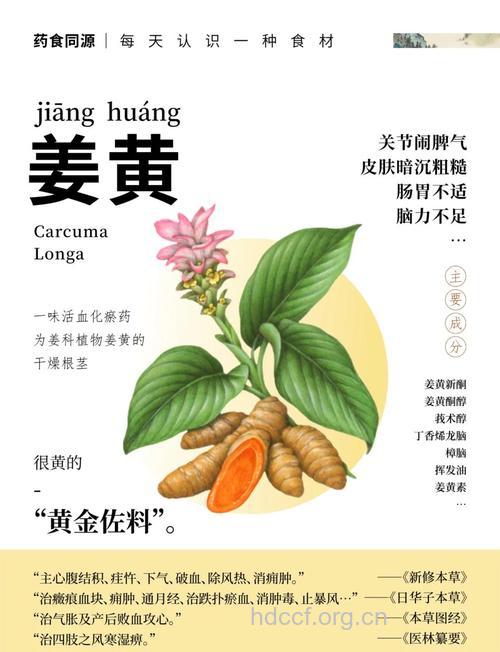 姜黄有哪些药理作用