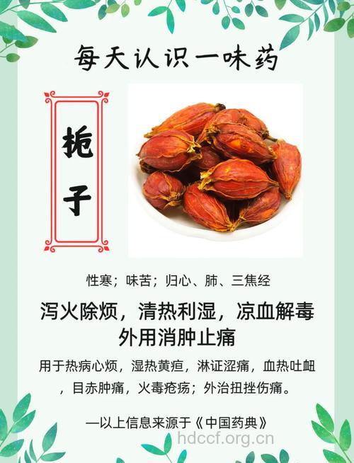 中药材栀子有哪些功效