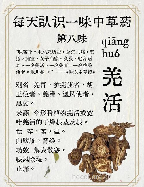 羌活有哪些药用价值