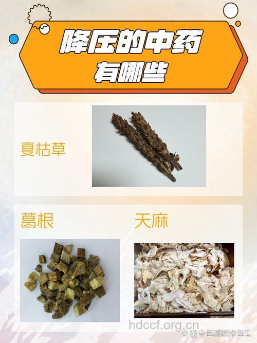 中药有哪些降压药材?