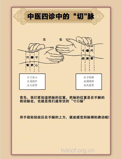 中医切诊的那些方法