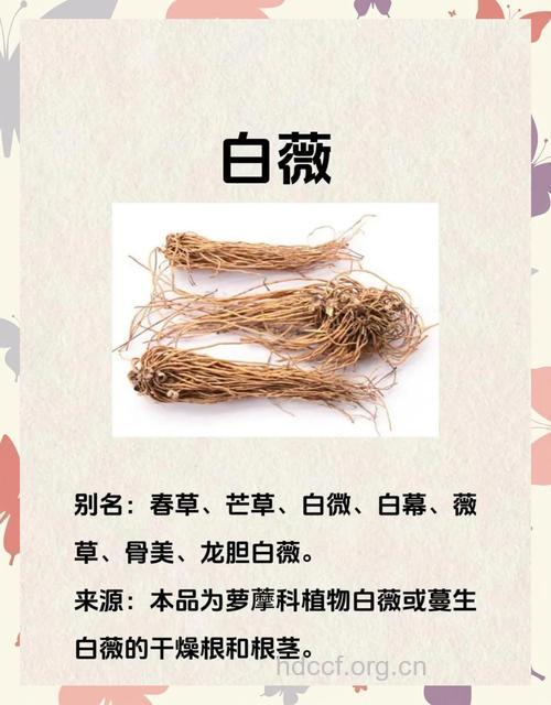 你知道白微有哪些功效