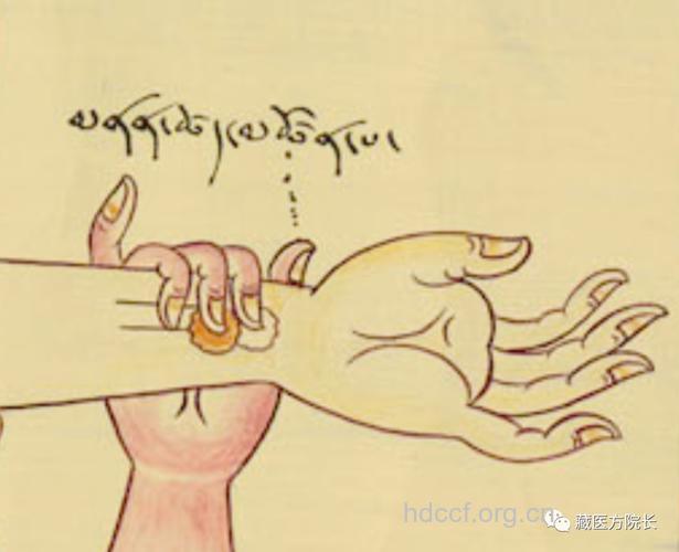 藏医的诊脉真的是很神奇