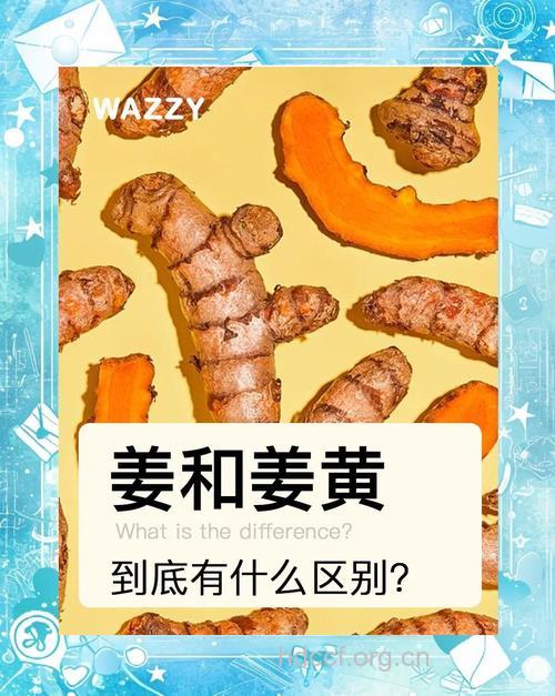 怎么辨别姜黄的真伪？