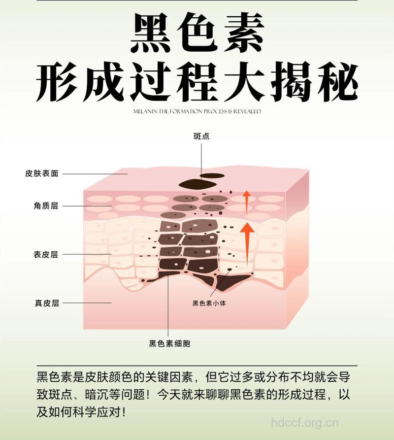 黑斑是怎样形成的