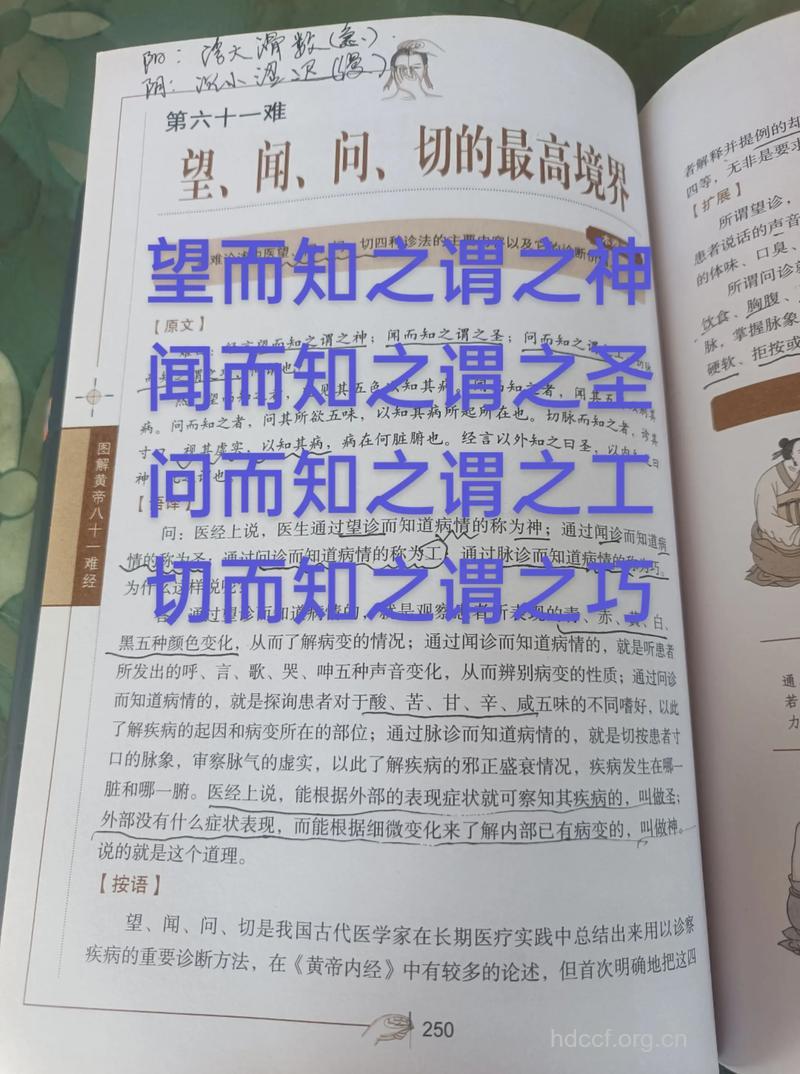 何为望神知病谓之神