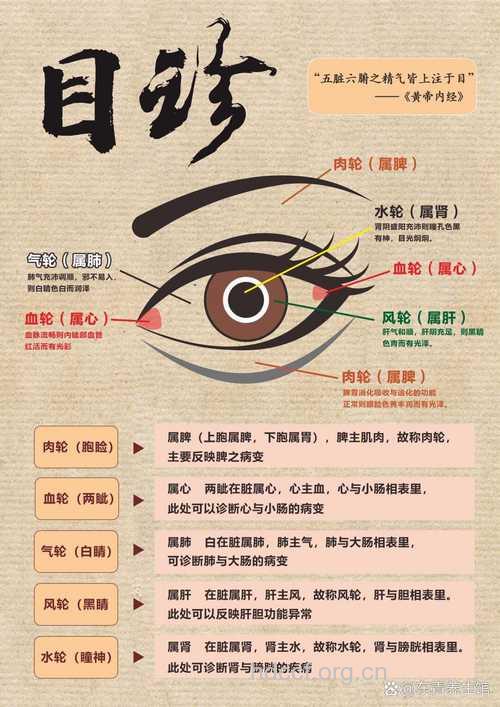 中医教你怎么去望目