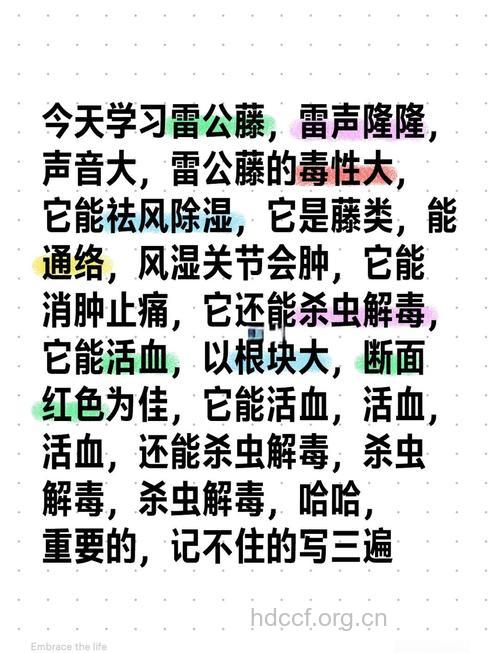 雷公藤有哪些功效呢？