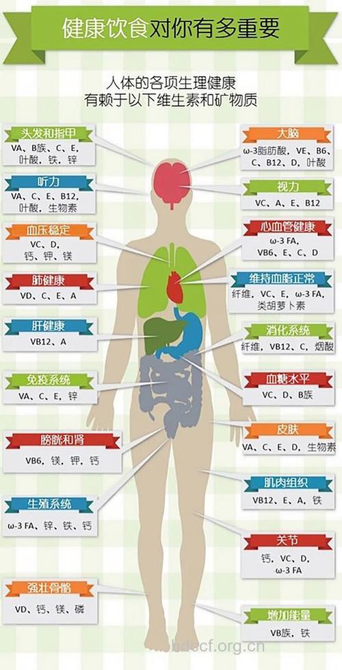 从人中看出你的身体健康