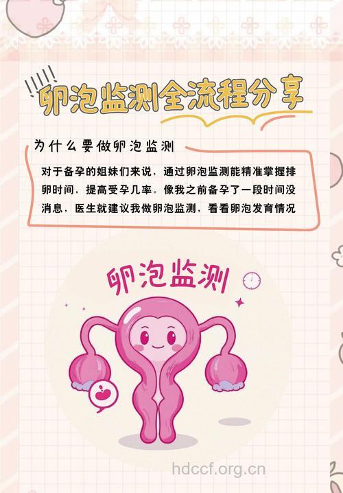 这些女性需要检查卵子
