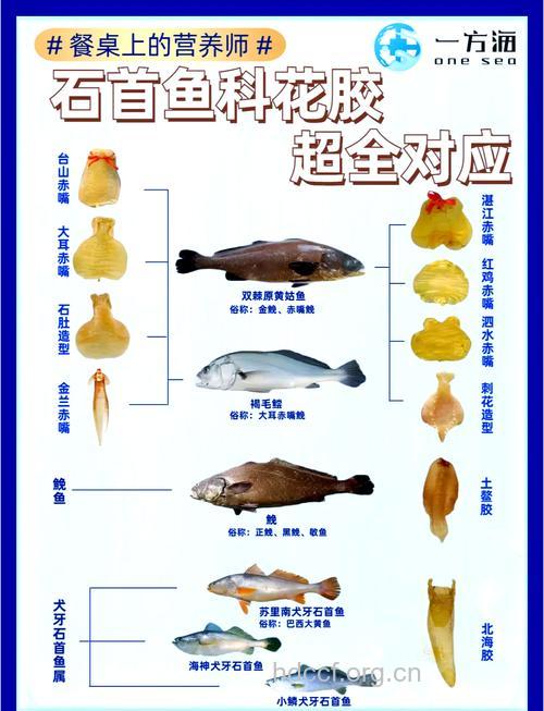 石首鱼鲞的功效与作用