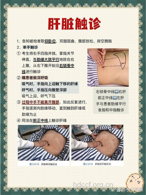 触诊也是切诊的一种吗
