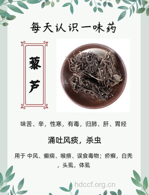 你怎么用藜芦治疗疾病吗