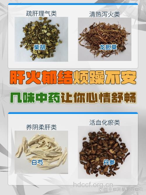 哪些中药解忿忘忧