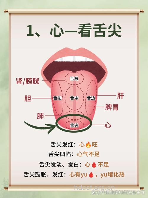 老中医望闻问切之看舌苔