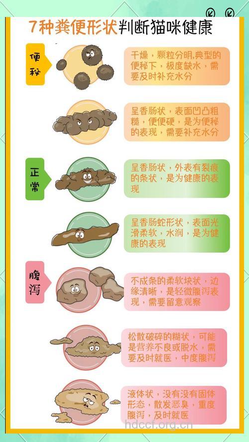 通过“便'的形状判断其病情