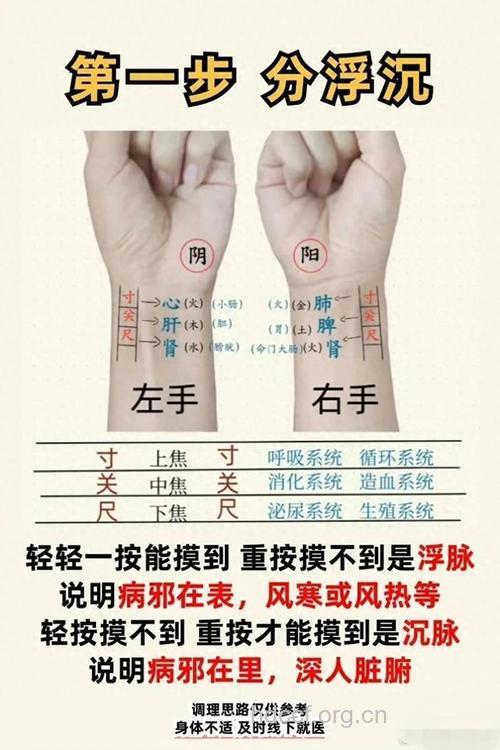 学会号脉只需要十分钟