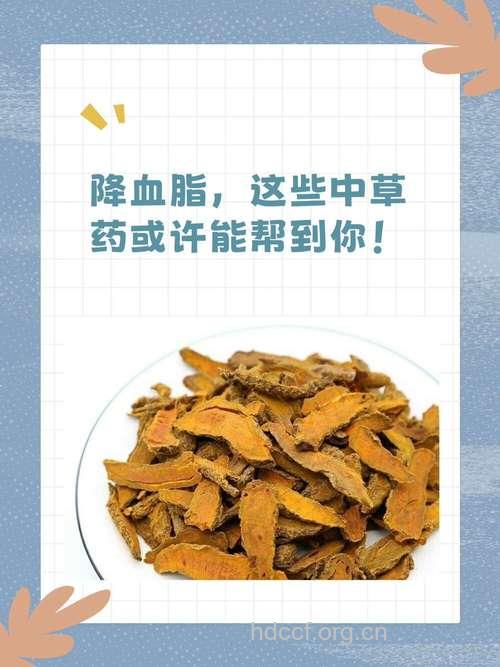 哪些中药有助于降脂