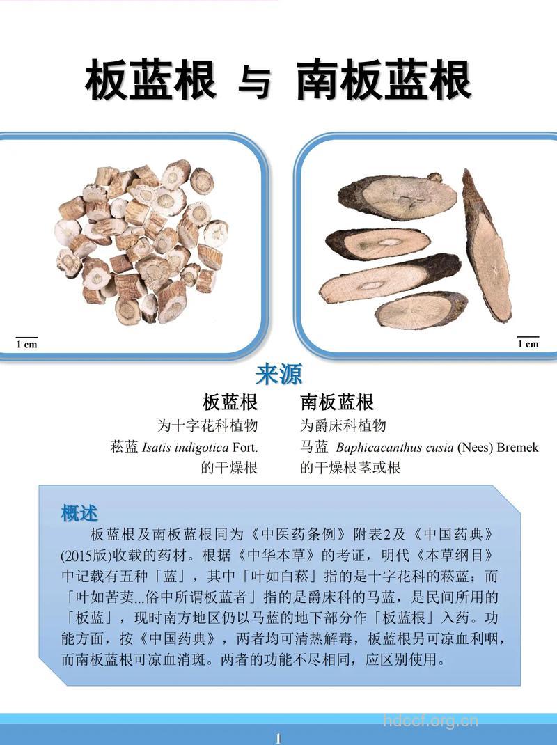 南板蓝根与板蓝根有什么区别