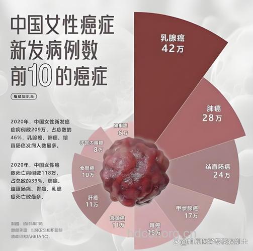 女性秋冬过度进补易发乳腺癌