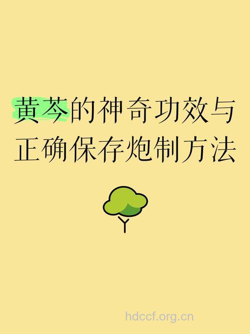 黄芩有哪些炮制方法？