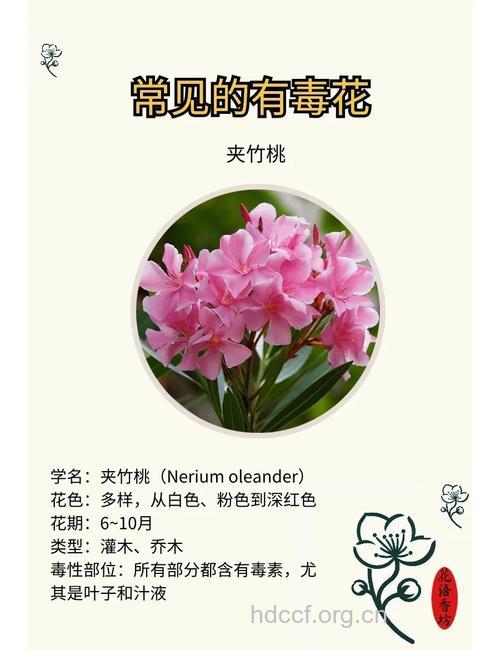 花草易“惹来”鼻咽癌