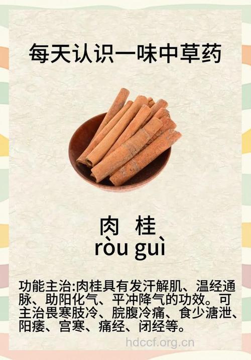 山肉桂的功效与作用