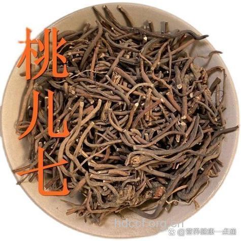 桃儿七果的功效与作用