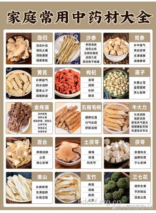 家中应该常备哪些中药