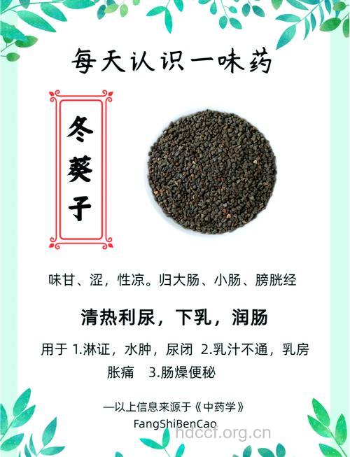 带“子”字的中药大多寒性