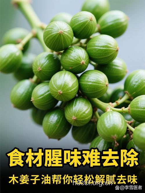 角果木子油的功效与作用