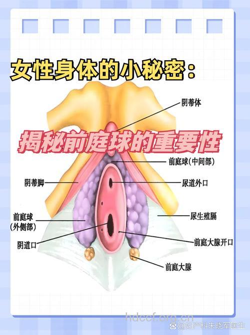 揭开女性私处的小秘密
