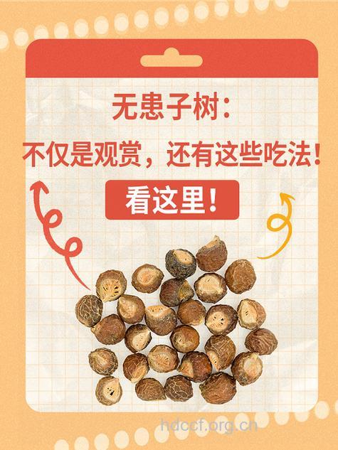 无患树皮的功效与作用