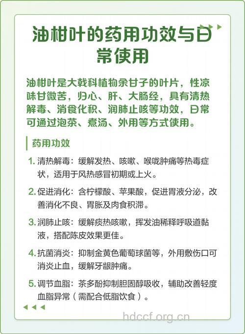 油柑叶的功效与作用