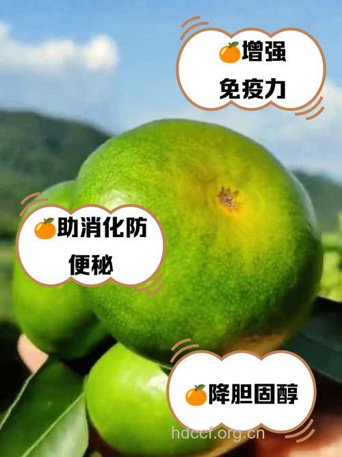 橘子可抗癌吗