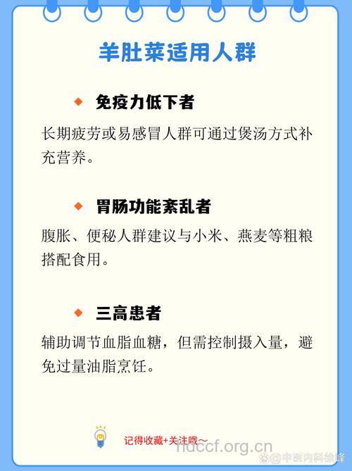 羊肚菜的功效与作用