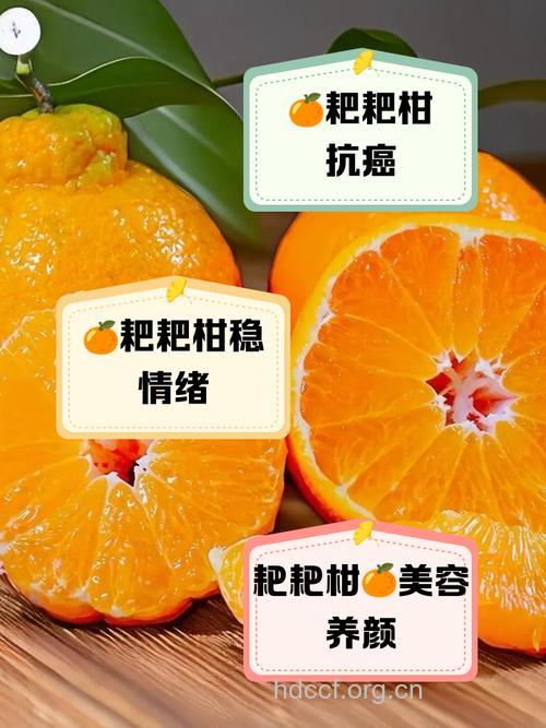 每日吃柑橘有助于防癌