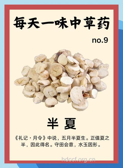 木半夏的功效与作用