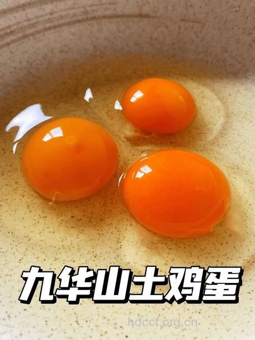 山鸡蛋的功效与作用