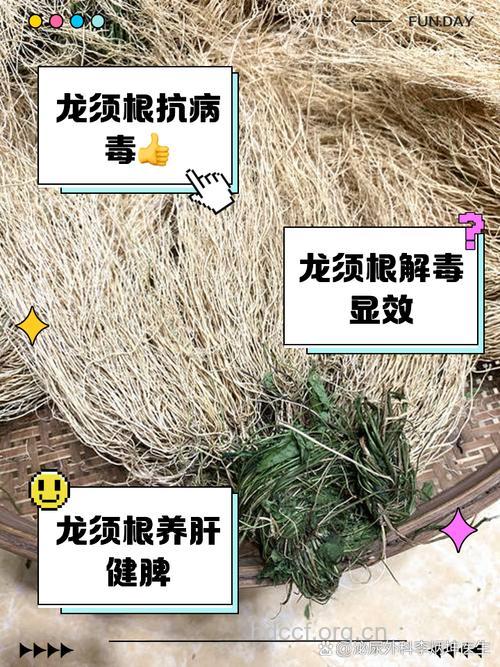 龙胡子的功效与作用